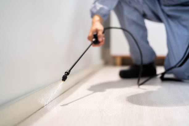 Licensed Termite Control service in Vigo County County, IN - Nex Pest Control