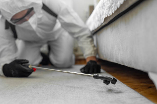 Professional Termite Control technician working in Vigo County County, IN